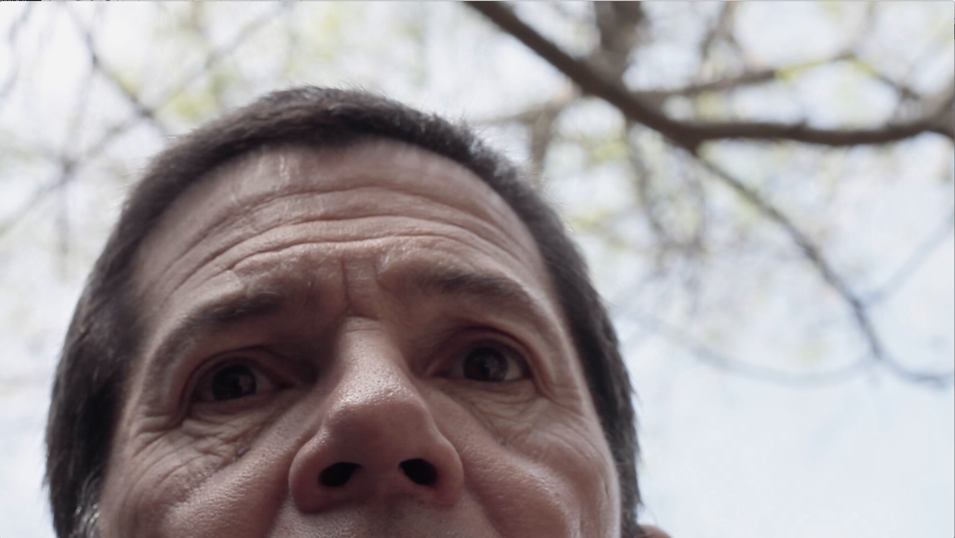 Natural Causes thumbnail